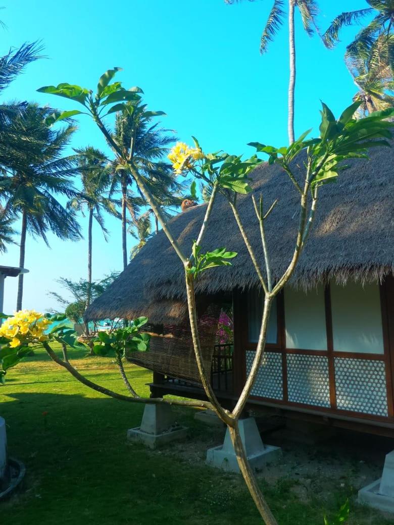 Ary'S Lagoon Bungalow & Hotel Karimunjawa Exterior foto